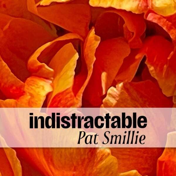 Cover art for Indistractable