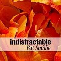 Indistractable